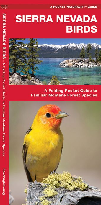 Sierra Nevada Birds: A Folding Pocket Guide to Familiar Montane Forest Species