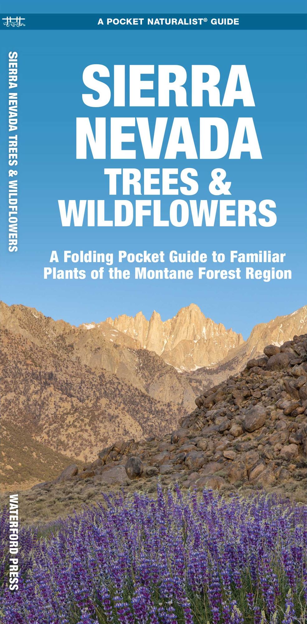 Sierra Nevada Trees & Wildflowers: A Folding Pocket Guide to Familiar Montane Forest Species