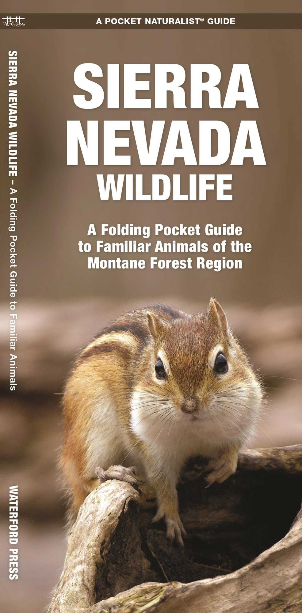 Sierra Nevada Wildlife: A Folding Pocket Guide to Familiar Montane Forest Species
