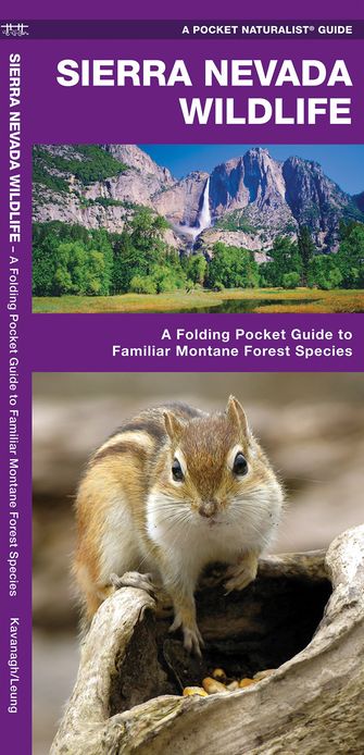 Sierra Nevada Wildlife: A Folding Pocket Guide to Familiar Montane Forest Species