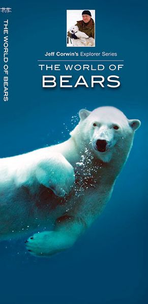 The World of Bears