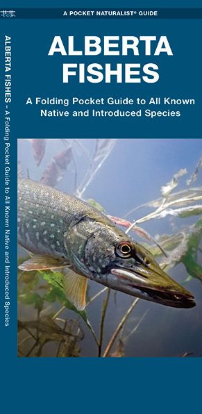 Alberta Fishes: A Folding Guide to All Known Native and Introduced Species