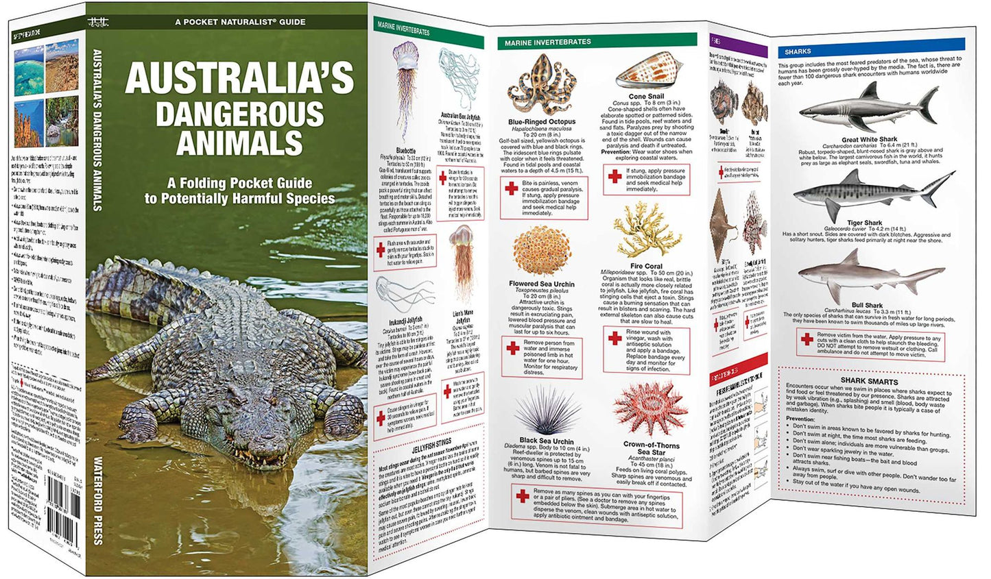 Australia's Dangerous Animals: A Folding Pocket Guide to Potentially Harmful Species