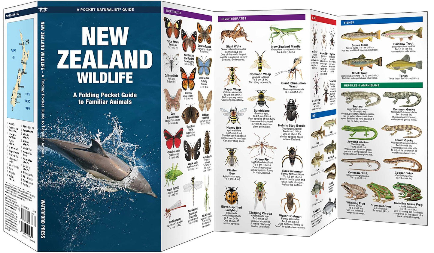 New Zealand Wildlife: A Folding Pocket Guide to Familiar Animals