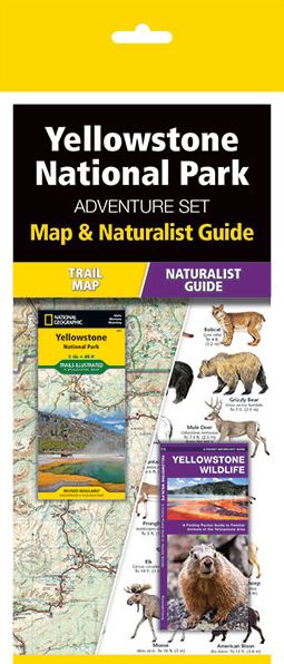 Yellowstone National Park Adventure Set