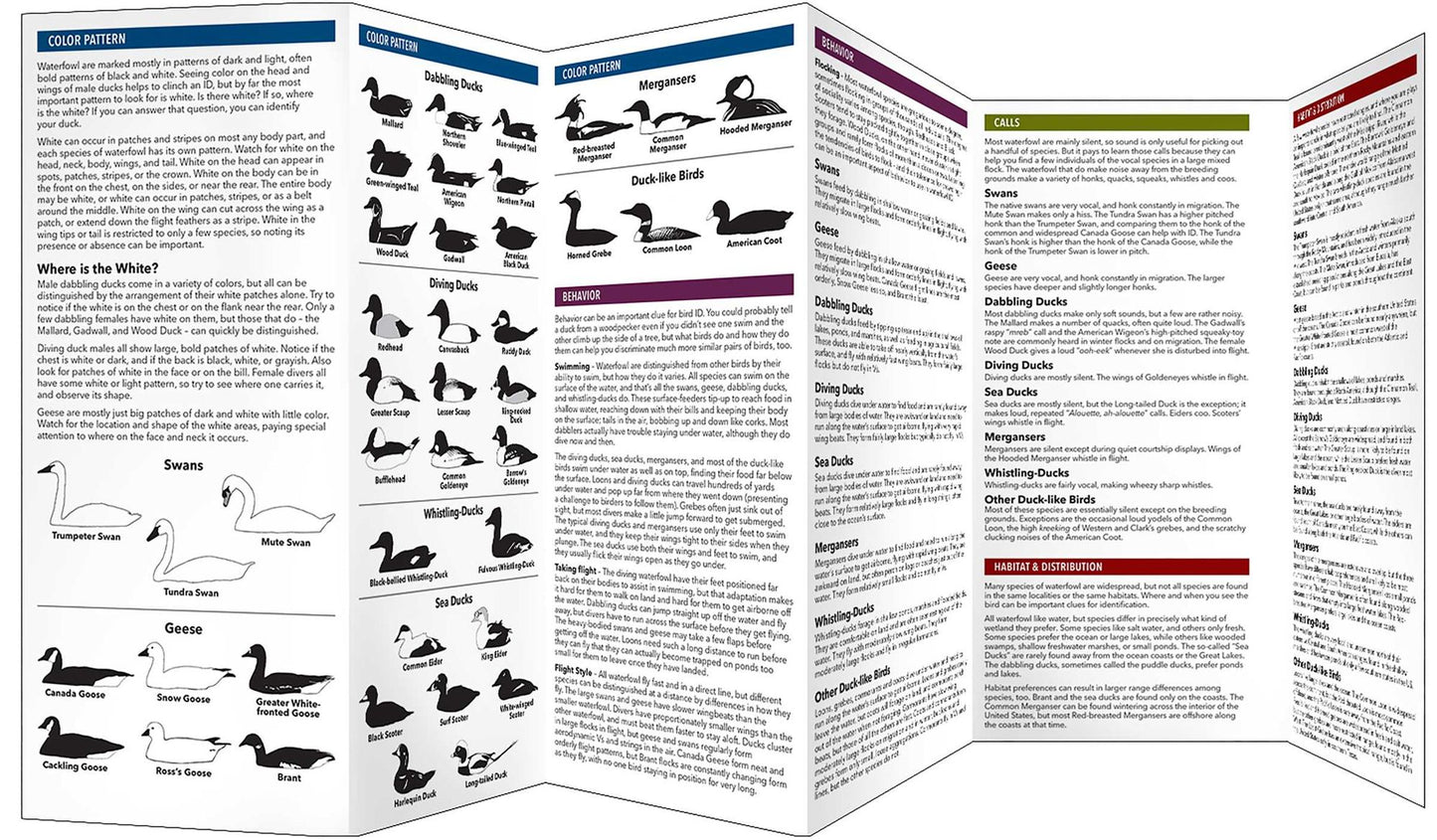 Cornell Lab of Ornithology Waterfowl ID: #1 The Basics