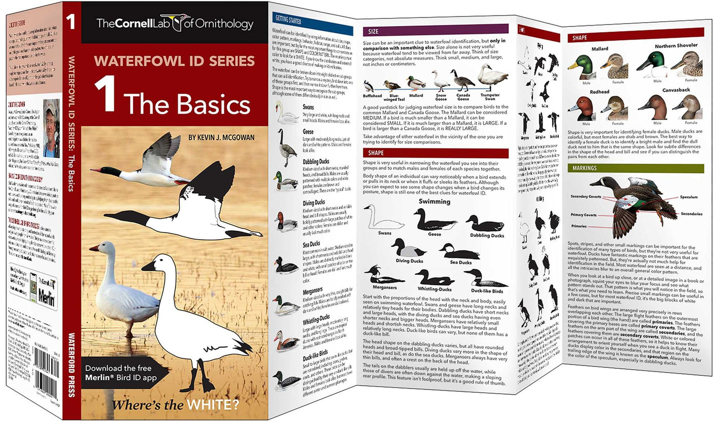 Cornell Lab of Ornithology Waterfowl ID: #1 The Basics