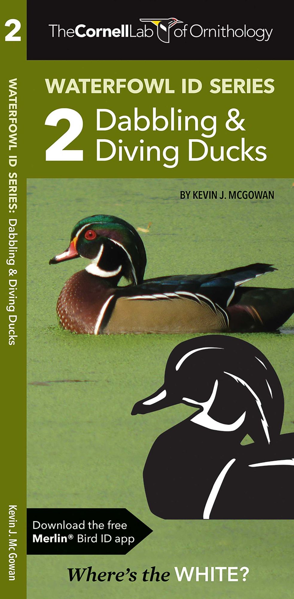 Cornell Lab of Ornithology Waterfowl ID: #2 Dabbling Ducks & Diving Ducks
