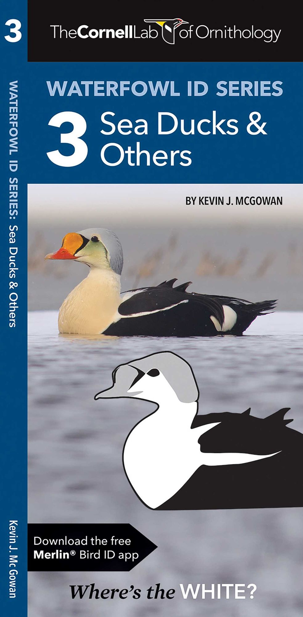 Cornell Lab of Ornithology Waterfowl ID: #3 Sea Ducks & Others
