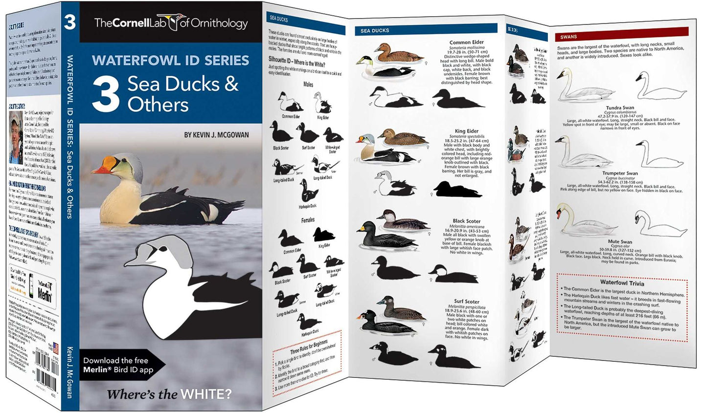 Cornell Lab of Ornithology Waterfowl ID: #3 Sea Ducks & Others