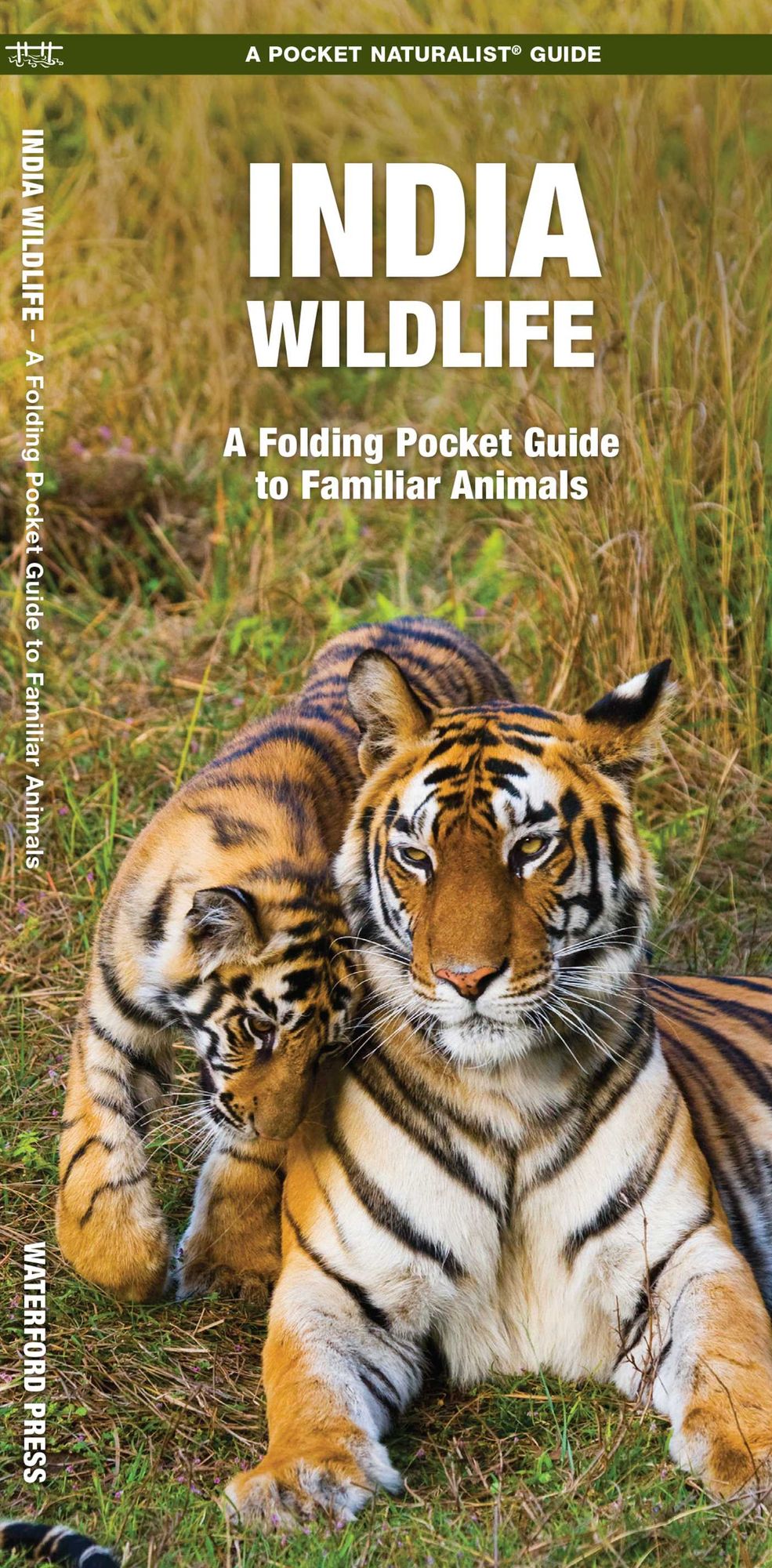 India Wildlife: A Folding Pocket Guide to Familiar Animals