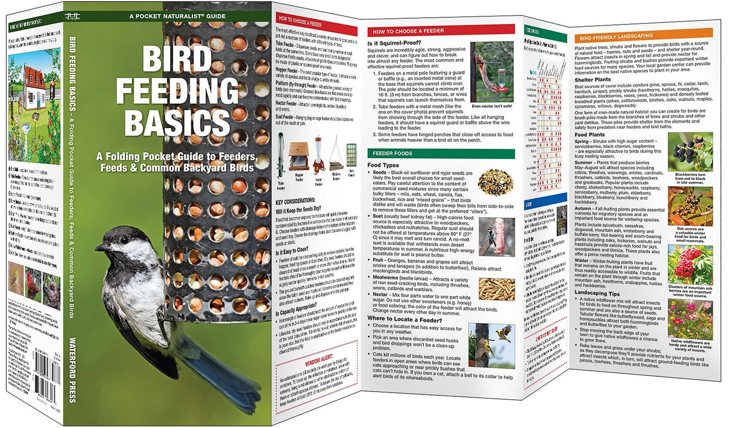 Bird Feeding Basics: An Introduction to Feeders, Feeds & Common Backyard Birds