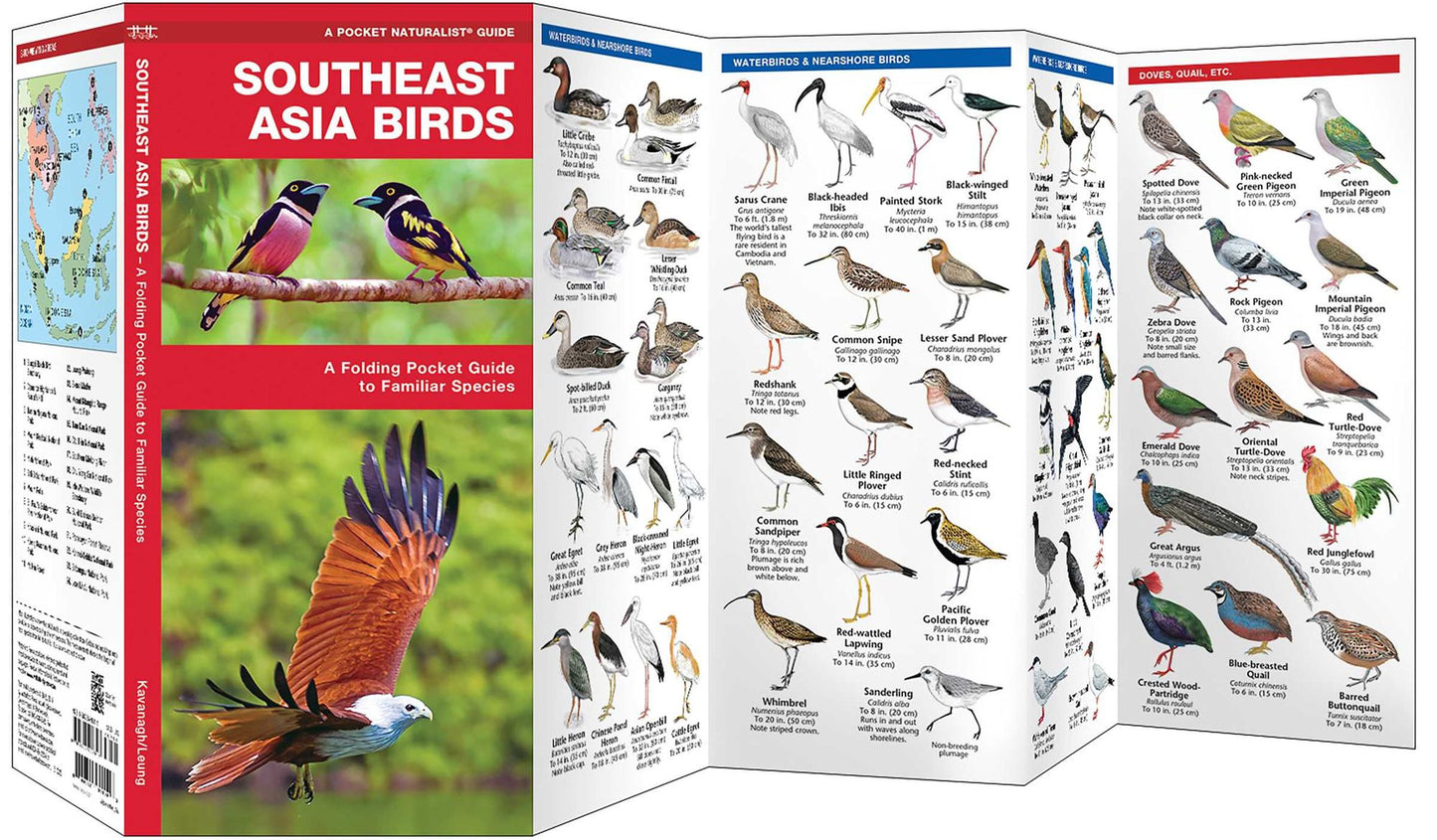 Southeast Asia Birds: A Folding Pocket Guide to Familiar Species
