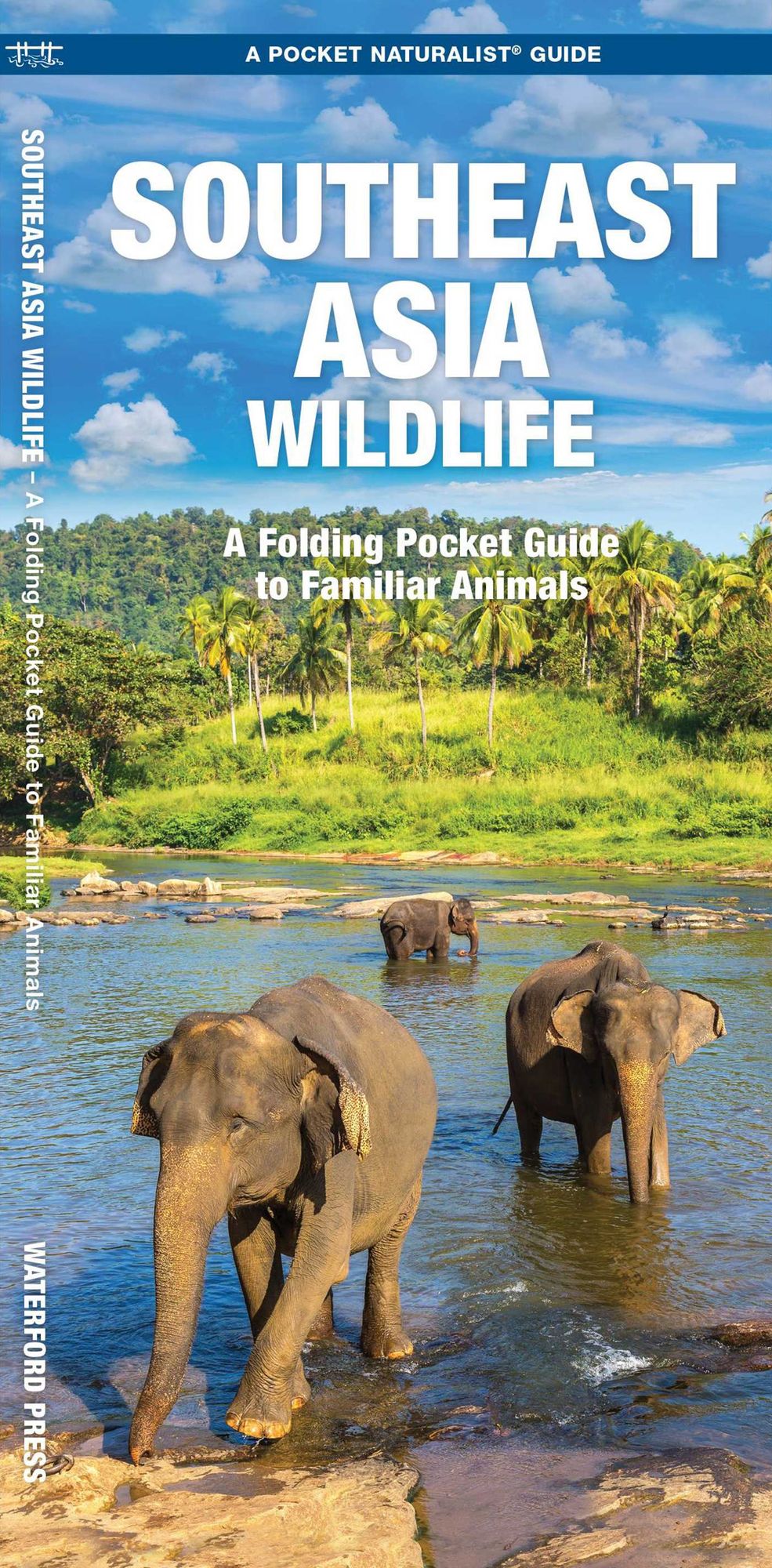 Southeast Asia Wildlife: A Folding Pocket Guide to Familiar Animals