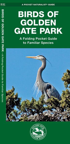 Birds of Golden Gate Park: A Folding Pocket Guide to Familiar Species