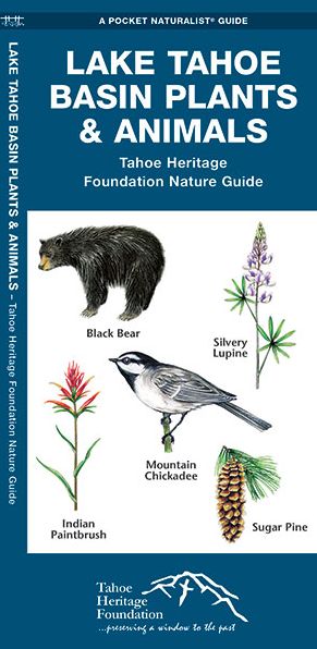 Lake Tahoe Basin Plants & Animals: Tahoe Heritage Foundation Nature Guide