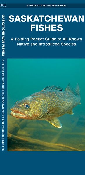 Saskatchewan Fishes: A Folding Pocket Guide to All Known Native and Introduced Species