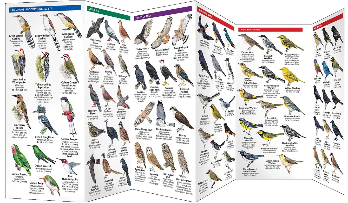 Cuba Birds: A Folding Pocket Guide to Familiar Species