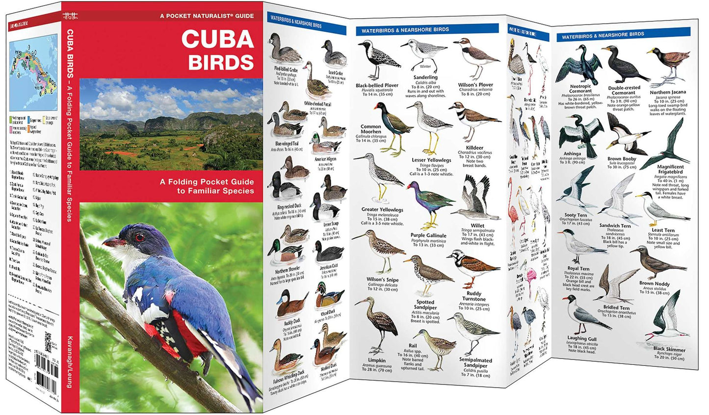 Cuba Birds: A Folding Pocket Guide to Familiar Species