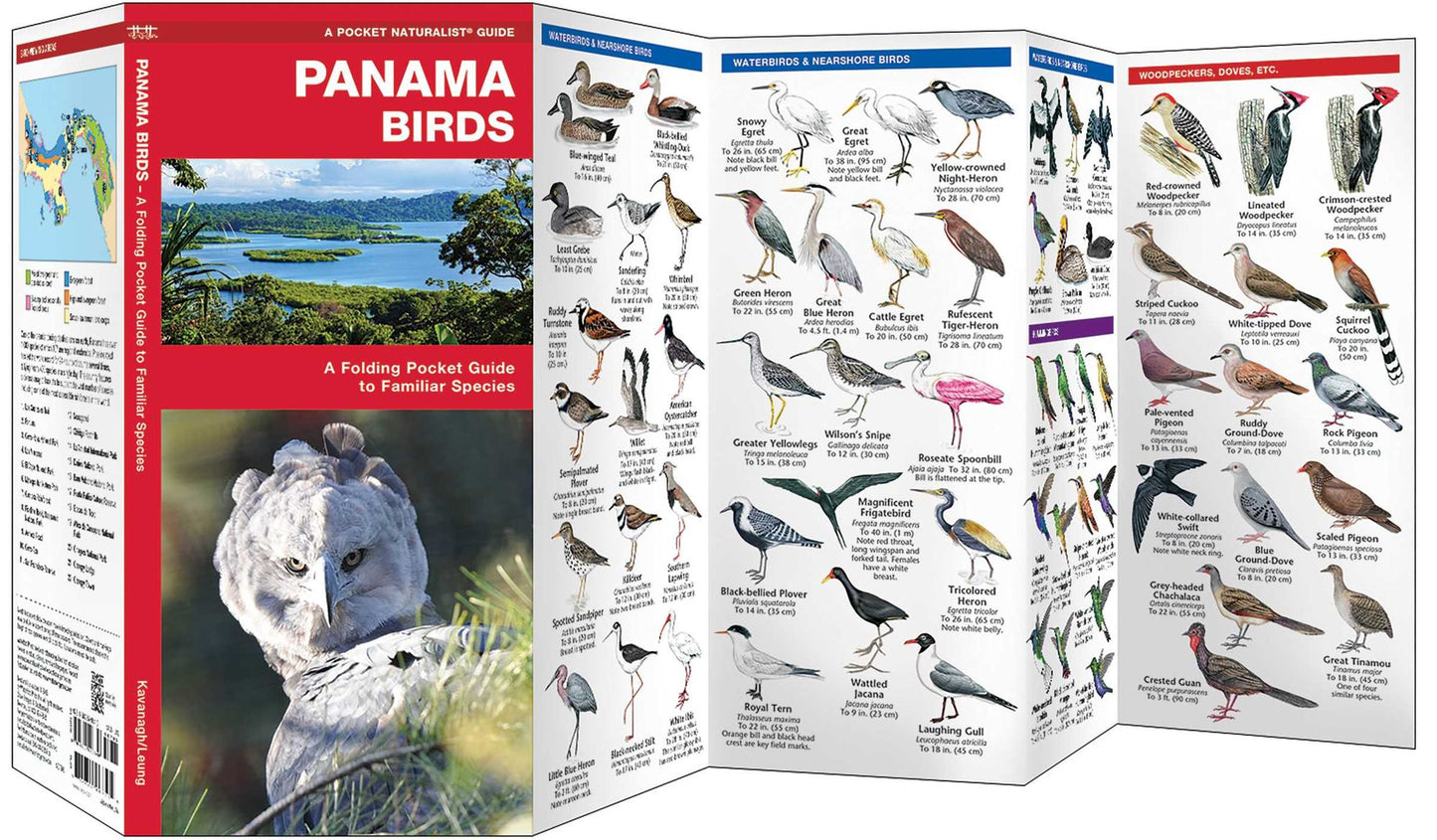 Panama Birds: A Folding Pocket Guide to Familiar Species