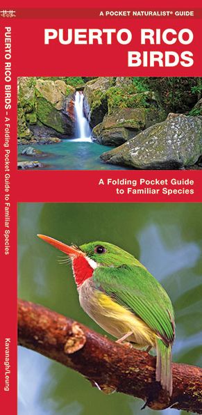 Puerto Rico Birds: A Folding Pocket Guide to Familiar Species