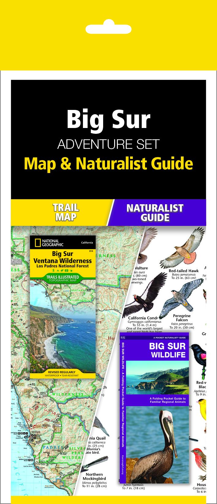 Big Sur Adventure Set