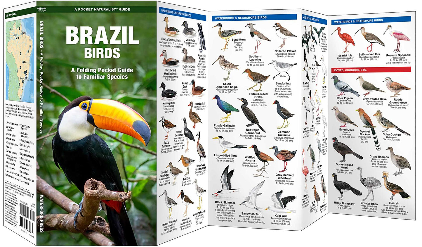 Brazil Birds: A Folding Pocket Guide to Familiar Species