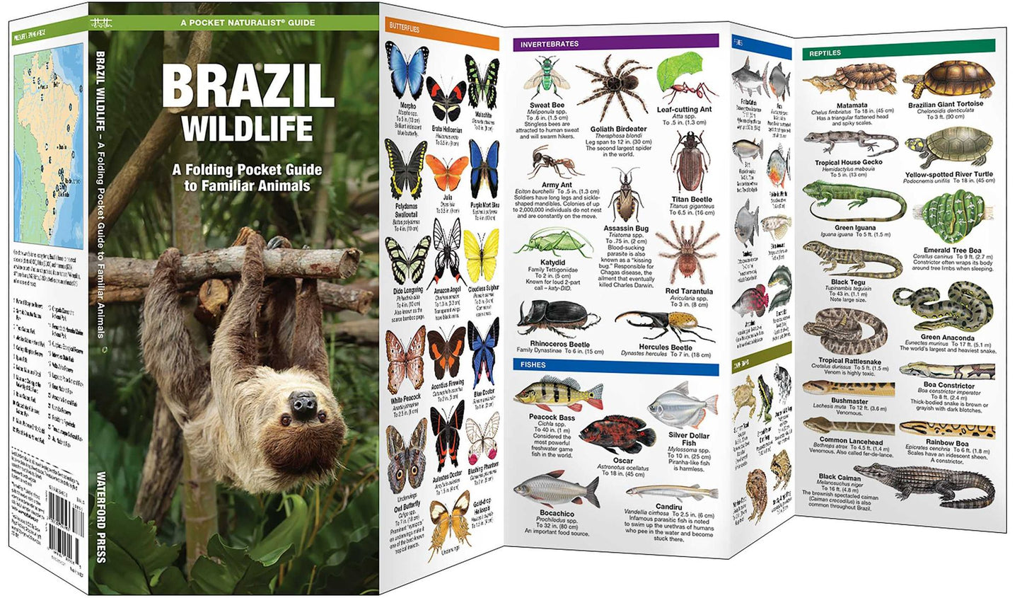 Brazil Wildlife: A Folding Pocket Guide to Familiar Animals