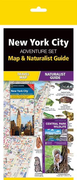 New York City Adventure Set