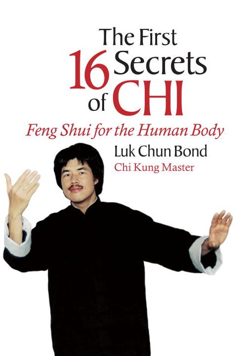 The First 16 Secrets of Chi: Feng Shui for the Human Body