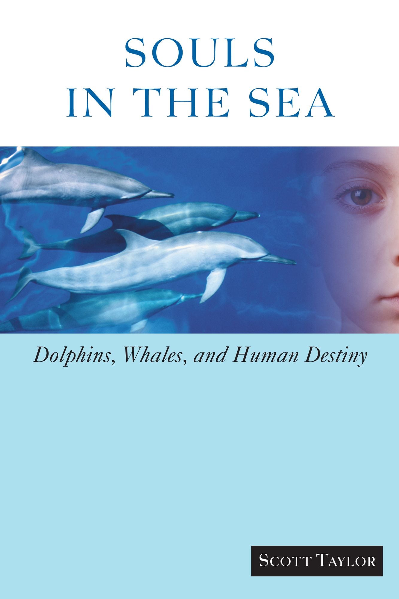 Souls in the Sea: Dolphins, Whales, and Human Destiny