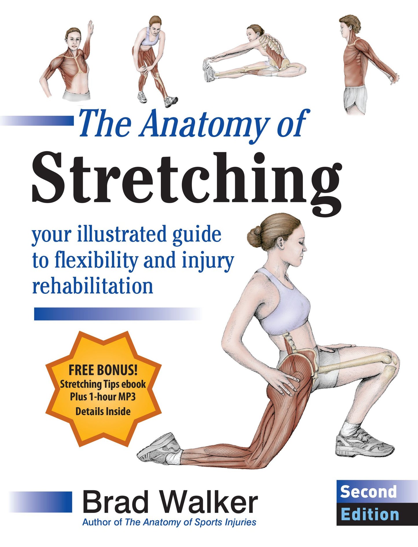 The Anatomy of Stretching, Second Edition: Your Anatomical Guide to Flexibility and Injury Rehabilitation