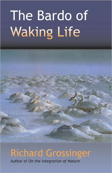 The Bardo of Waking Life