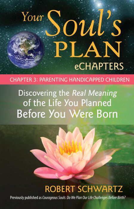 Your Soul's Plan eChapters - Chapter 3: Parenting Handicapped Children: Discovering the Real Meaning of the Life You Planned Before You Were Born