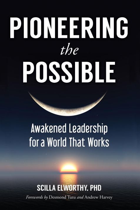 Pioneering the Possible: Awakened Leadership for a World That Works