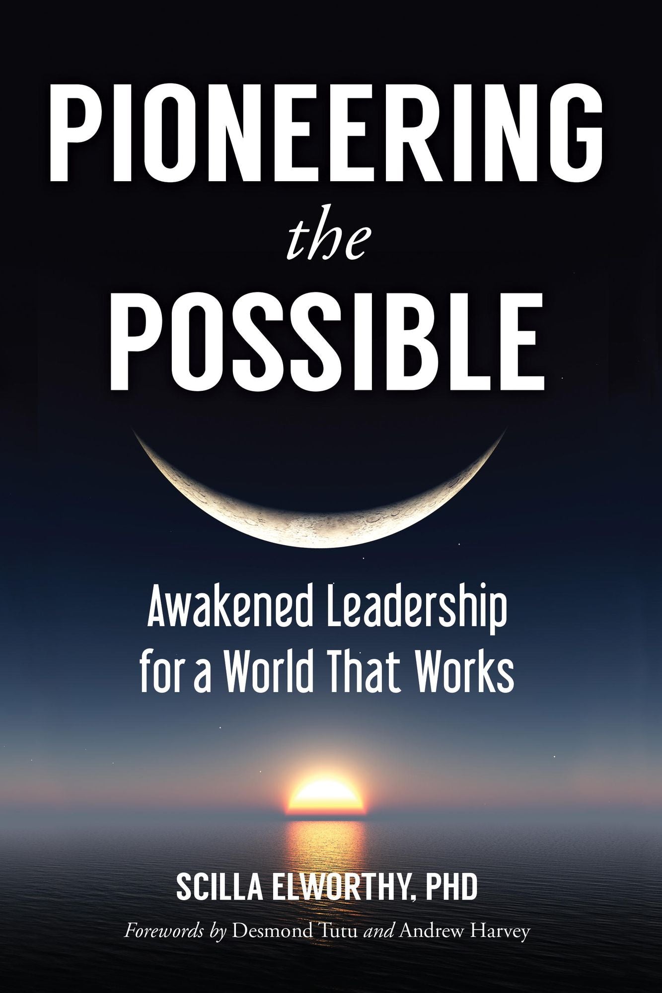 Pioneering the Possible: Awakened Leadership for a World That Works