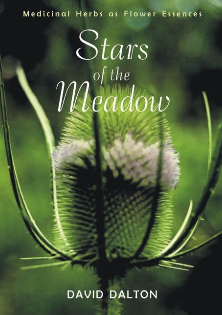 Stars of the Meadow: Medicinal Herbs As Flower Essences