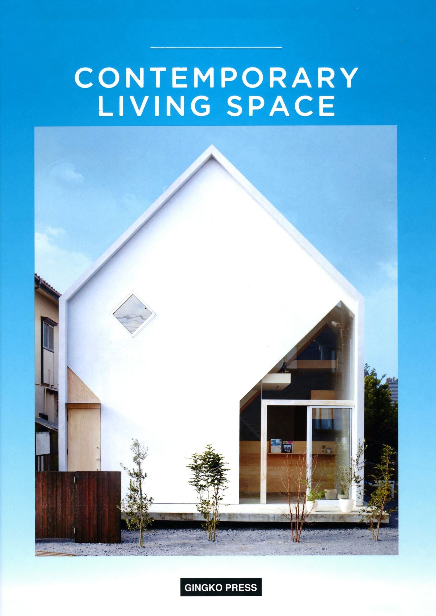 Contemporary Living Space