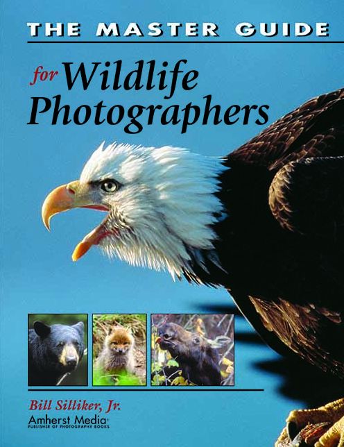 Master Guide for Wildlife Photographers