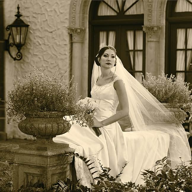 Wedding Photography: Creative Techniques for Lighting, Posing, and Marketing