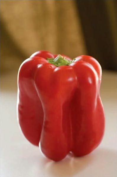 Available Light: Photographic Techniques for Using Existing Light Sources