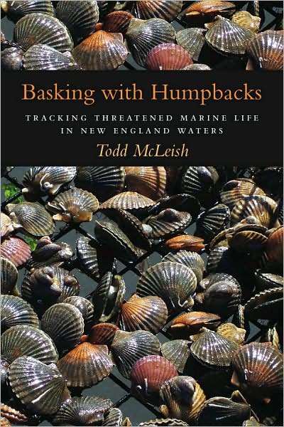 Basking with Humpbacks: Tracking Threatened Marine Life in New England Waters