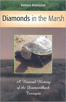 Diamonds in the Marsh: A Natural History of the Diamondback Terrapin