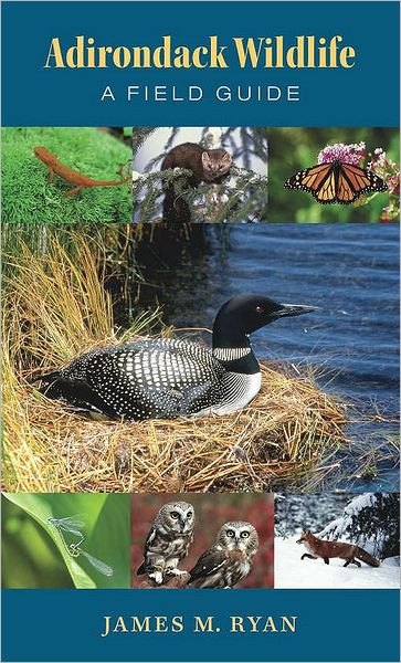 Adirondack Wildlife: A Field Guide