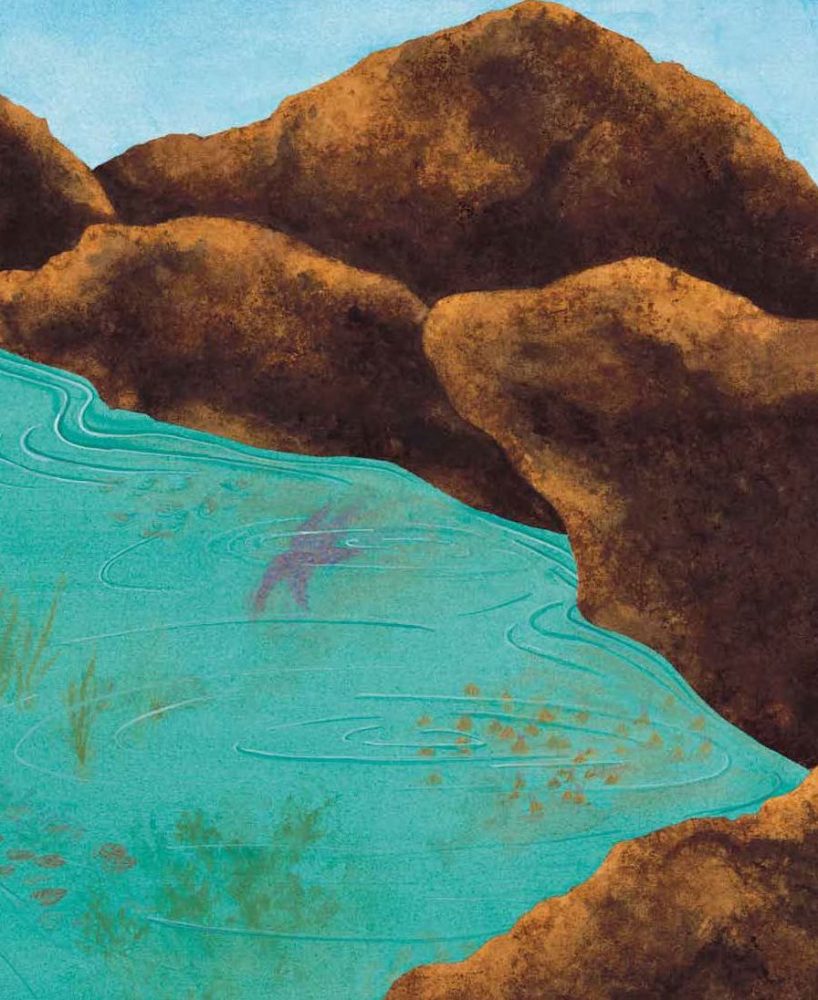 In One Tidepool: Crabs, Snails and Salty Tails