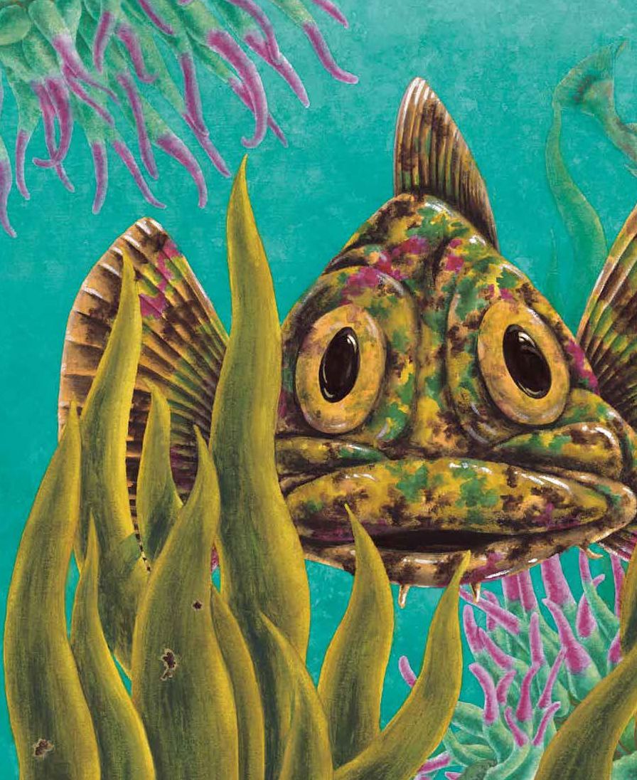 In One Tidepool: Crabs, Snails and Salty Tails