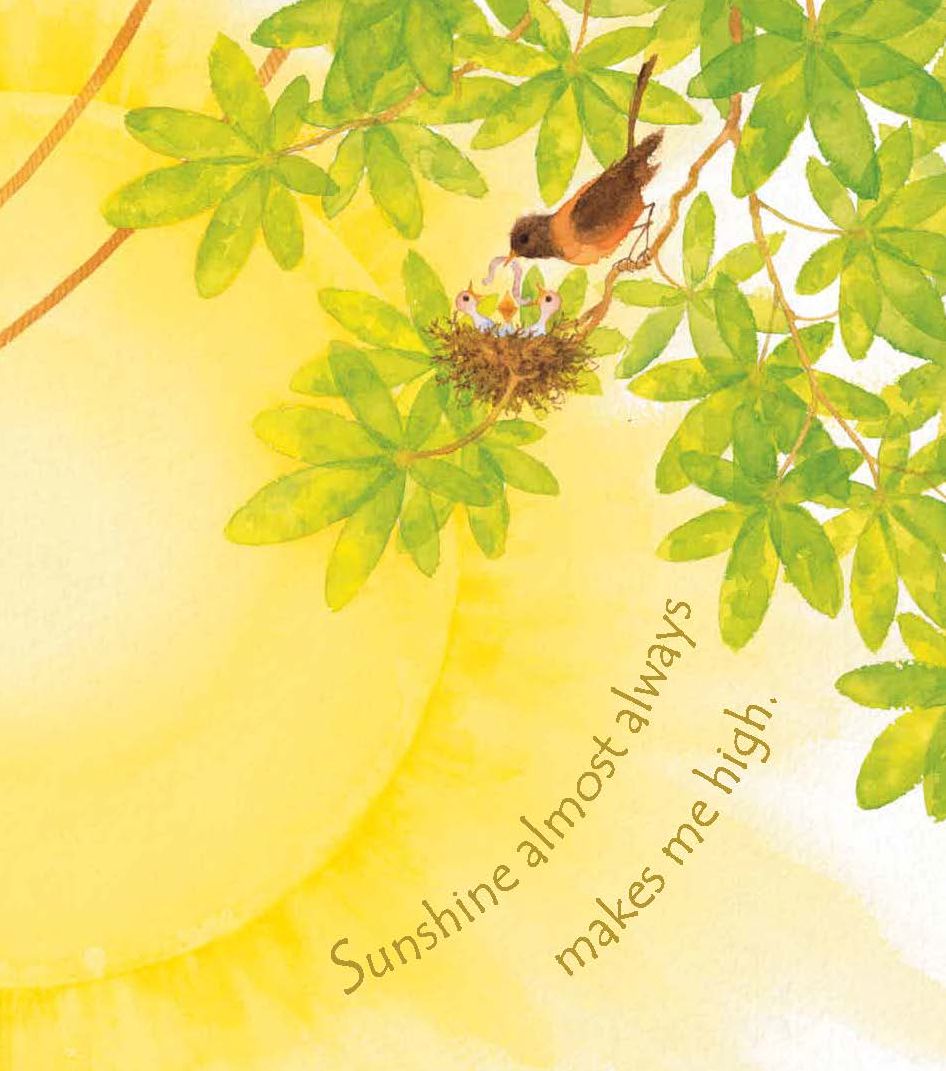 Sunshine on My Shoulders