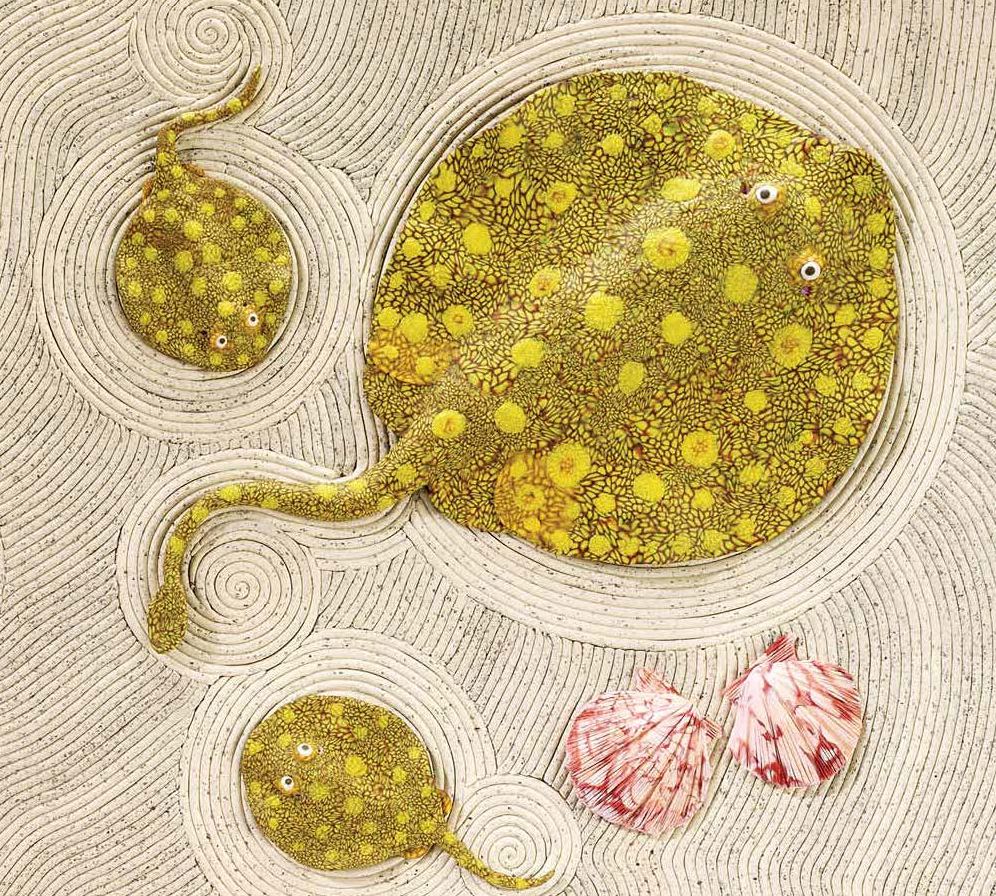 Over in the Ocean: In a Coral Reef