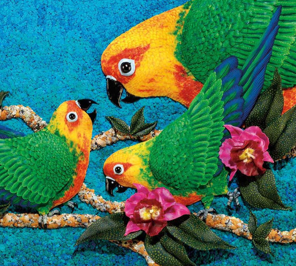 Over in the Jungle: A Rainforest Rhyme