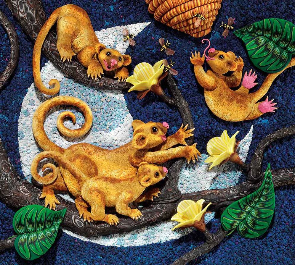 Over in the Jungle: A Rainforest Rhyme